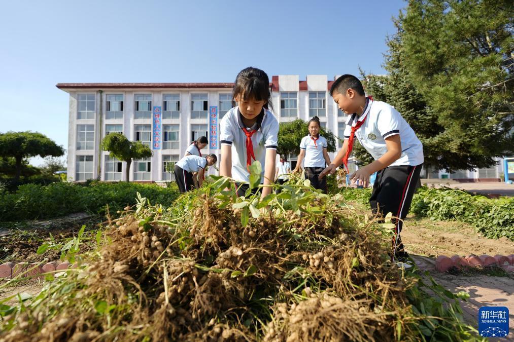 长乐坊游戏官网
